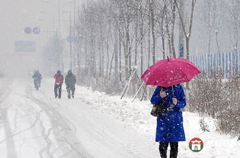 山東24日迎中雪局部大雪 莒縣菏澤暴雪 高速臨時封閉