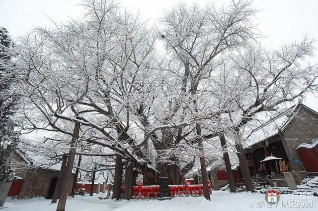 山東這兩個(gè)縣城的羊湯聞名全國(guó)，歷史也相當(dāng)悠久