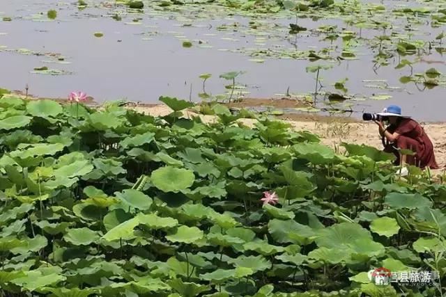 杭州的西湖，莒縣的西湖煙雨